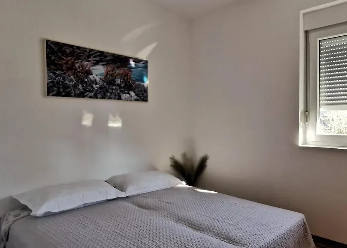 Spacious In Near Garden - 4 Min ティスノ